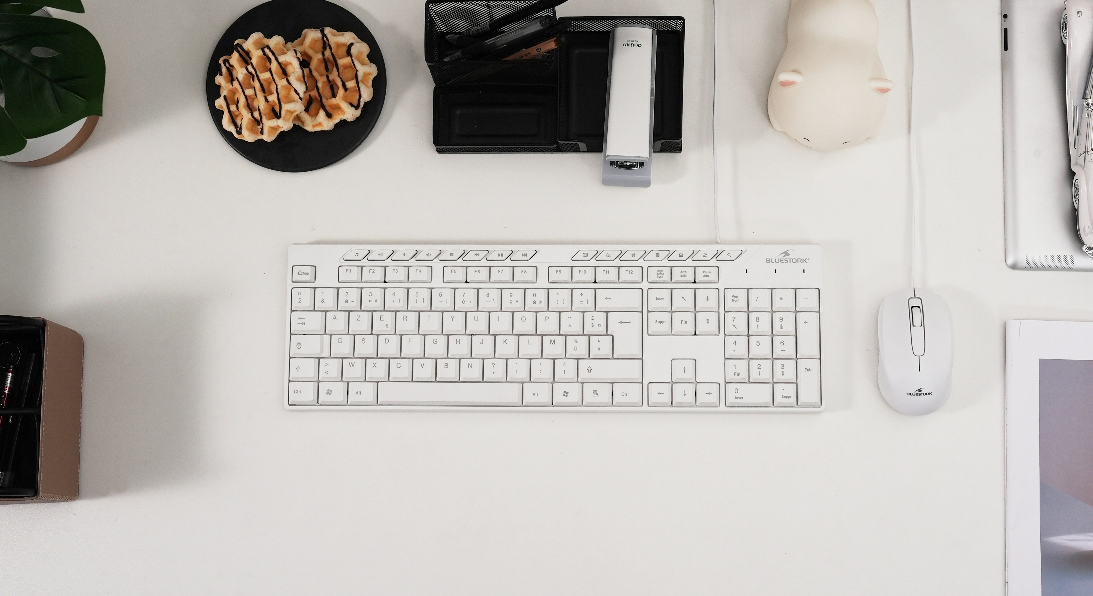 Ensemble Clavier et Souris Filaire de Qualité - Bluestork