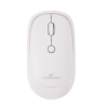 OFFICE 35 Blanche